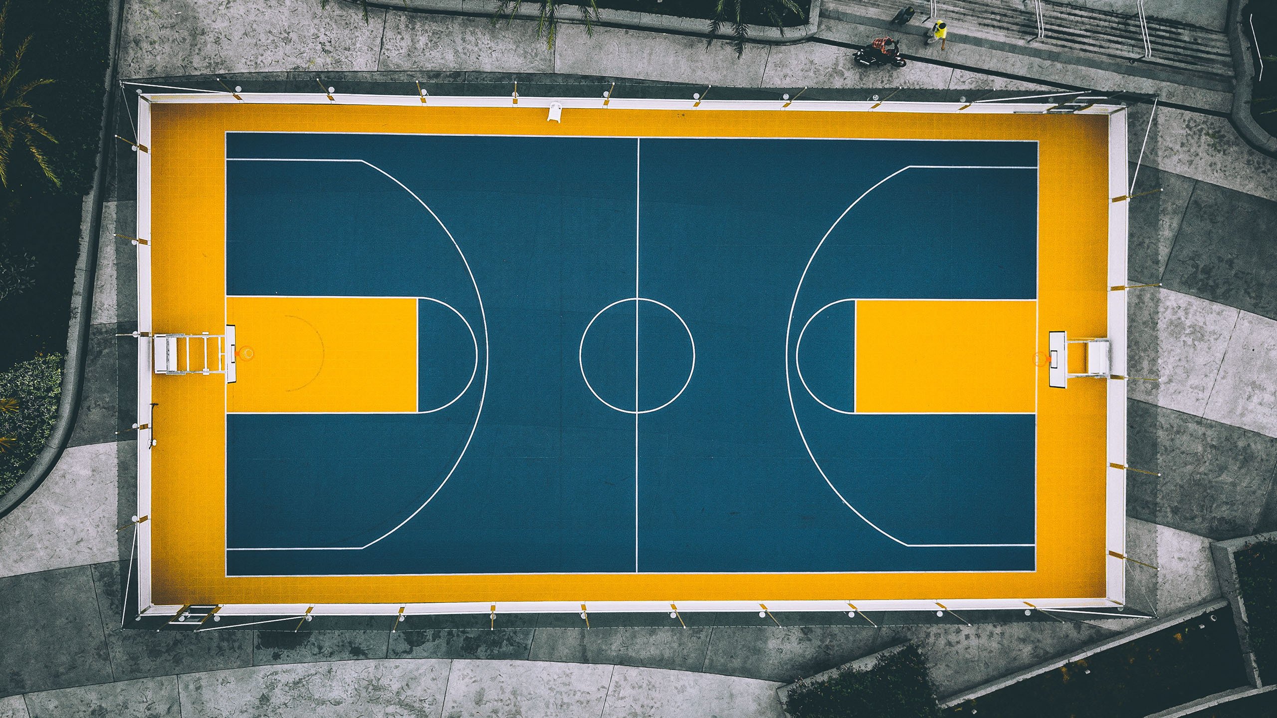 托桑·埃夫布奥姆万成为NBA新一代领军人物，埃托奥布冯