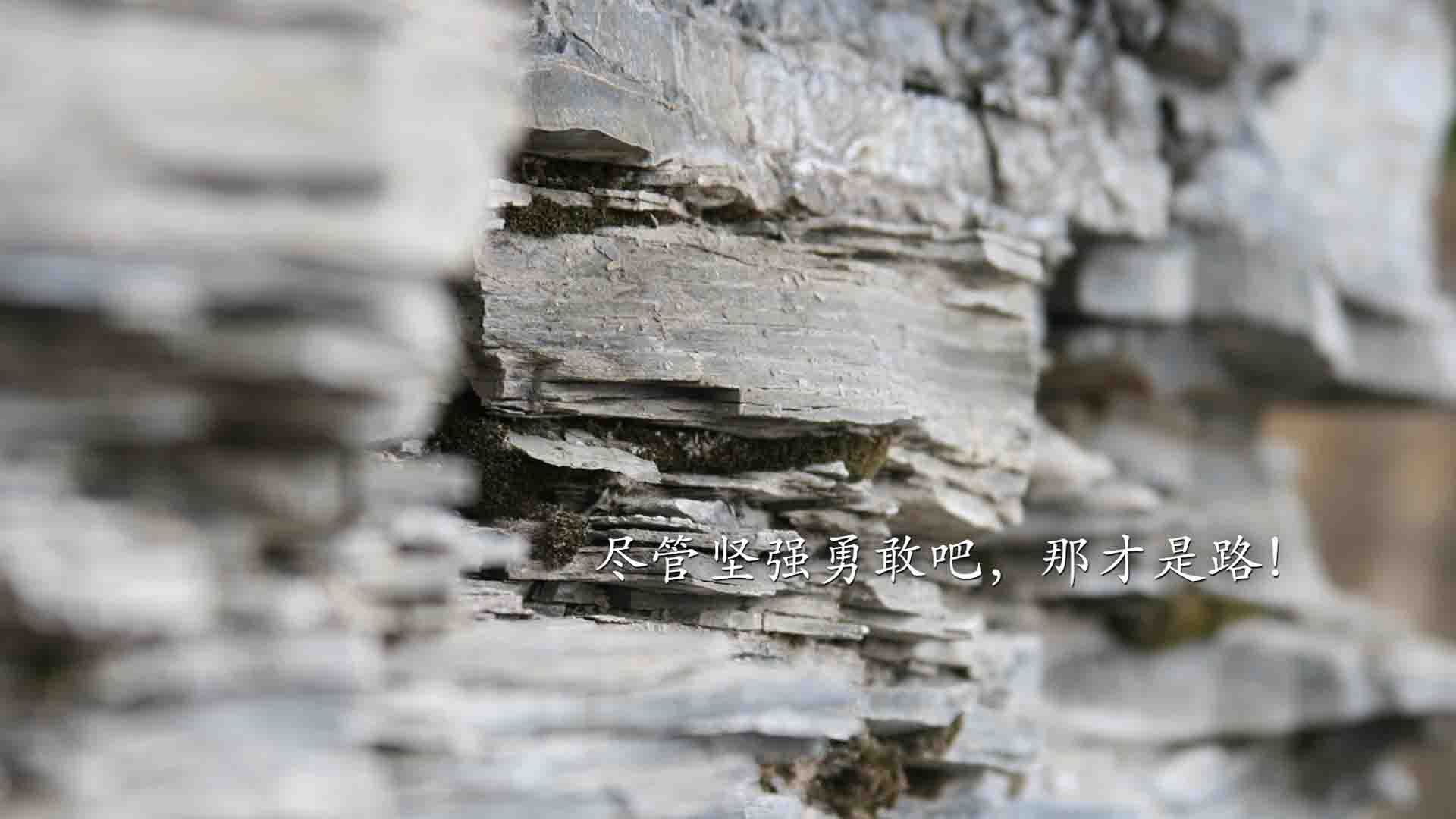 开云入口-德国女子自行车队在团体追逐赛中获得铜牌，德国骑自行车