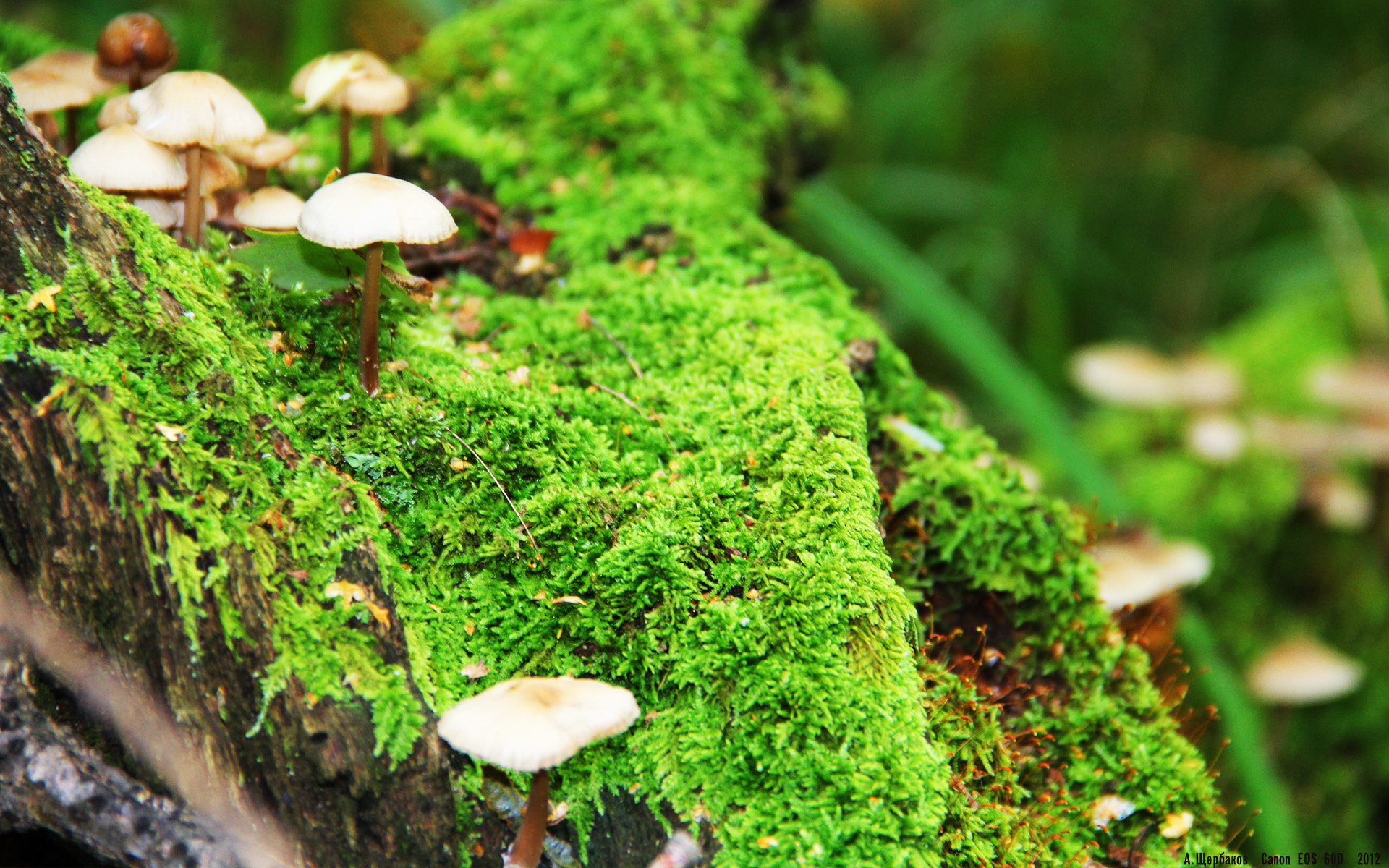 运动损伤康复设备国产化路径研究,运动康复器材 医疗器械