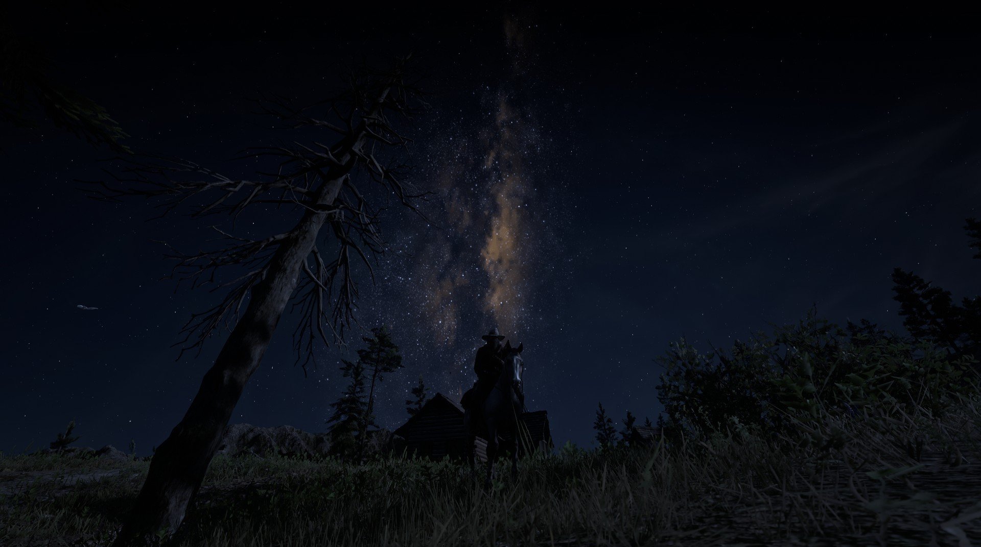 城市马拉松摄影作品展吸引民众参与,马拉松展示城市形象