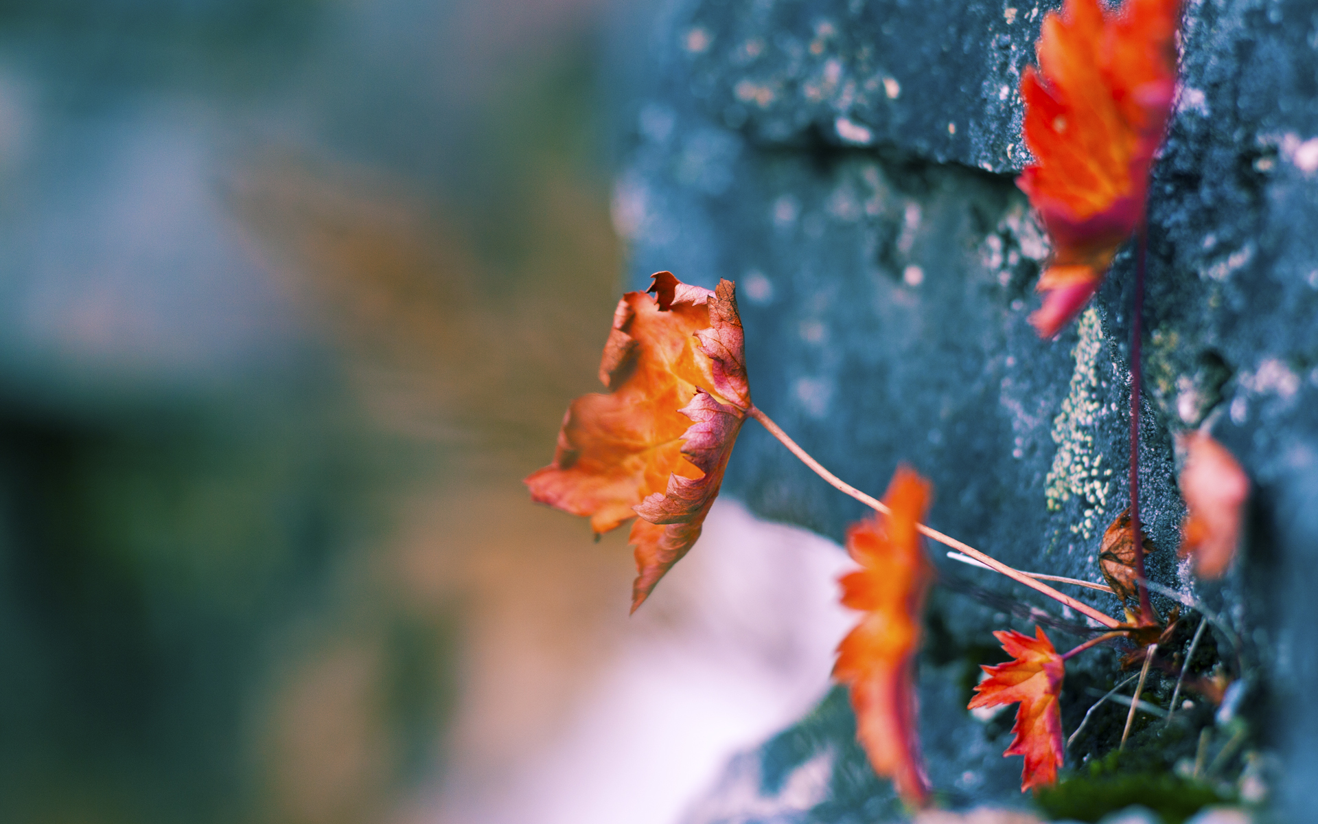 Kaiyun APP-新疆男篮着重培养新人储备核心力量，新疆男篮实力怎么样