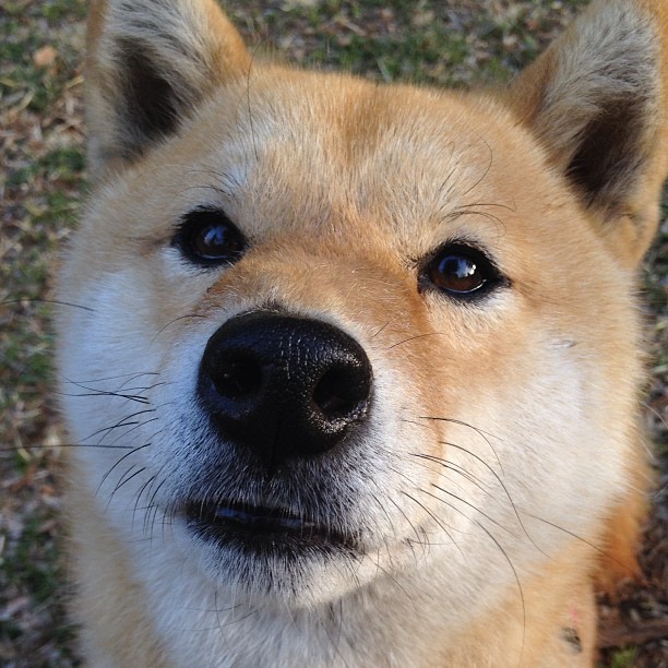 海湾者主力球员准备充分，斗志昂扬，海湾资讯网