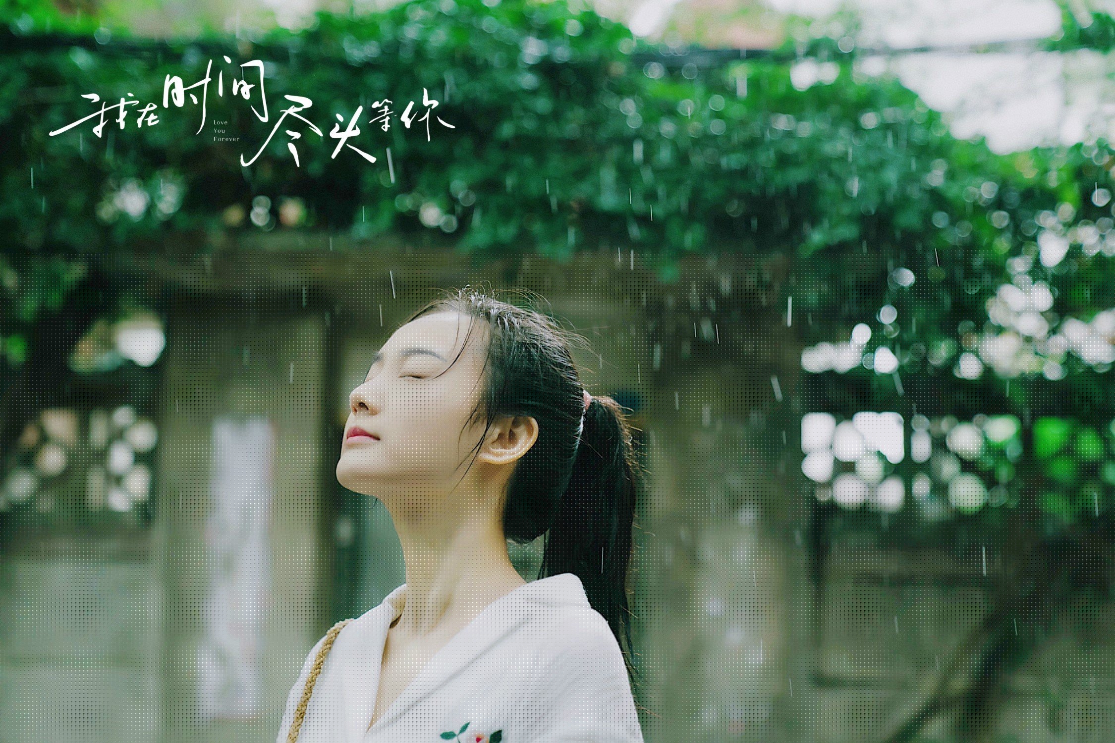 澳大利亚团队赛制的优势与挑战:解析团体赛中的关键因素,澳大利亚小组赛