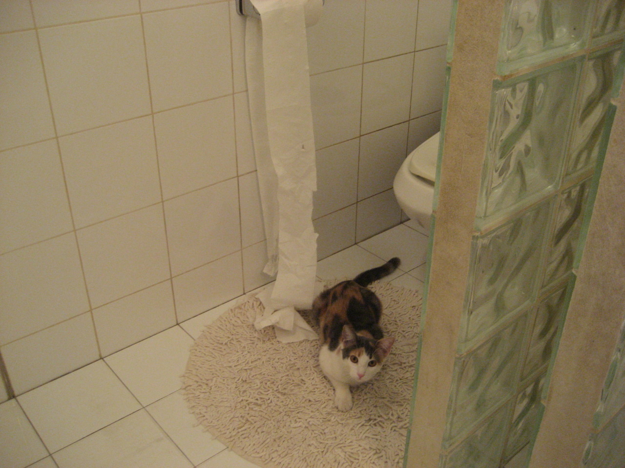 乌克兰女篮在欧洲锦标赛中奋勇冲击奖牌