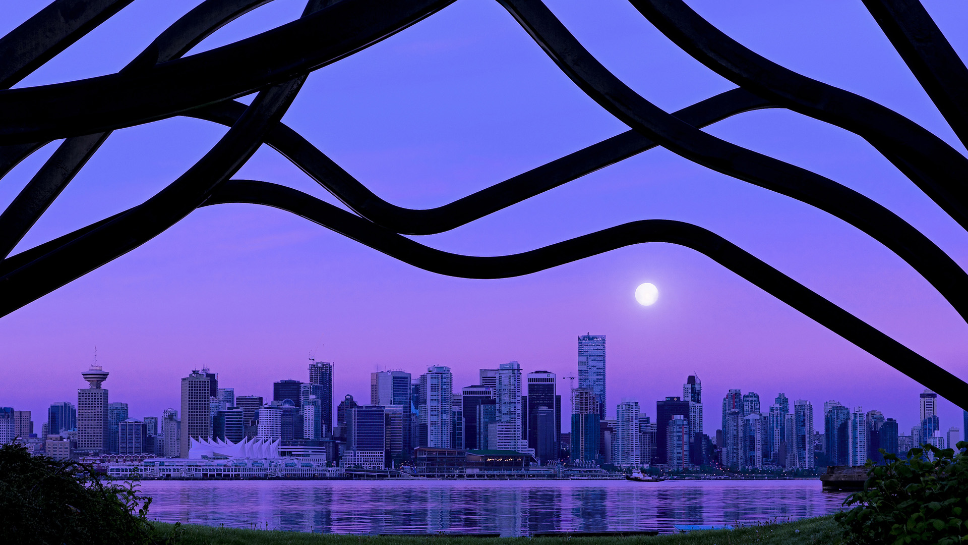 澳大利亚袋鼠队的进攻组织流畅,球员间默契十足,澳大利亚袋鼠竞赛官网