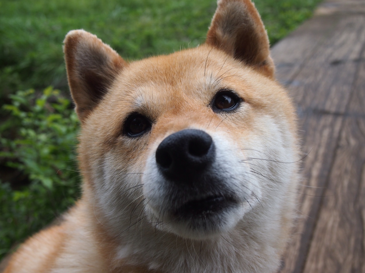 胡贝特·科斯决赛表现超出预期,胡安贝坦科特