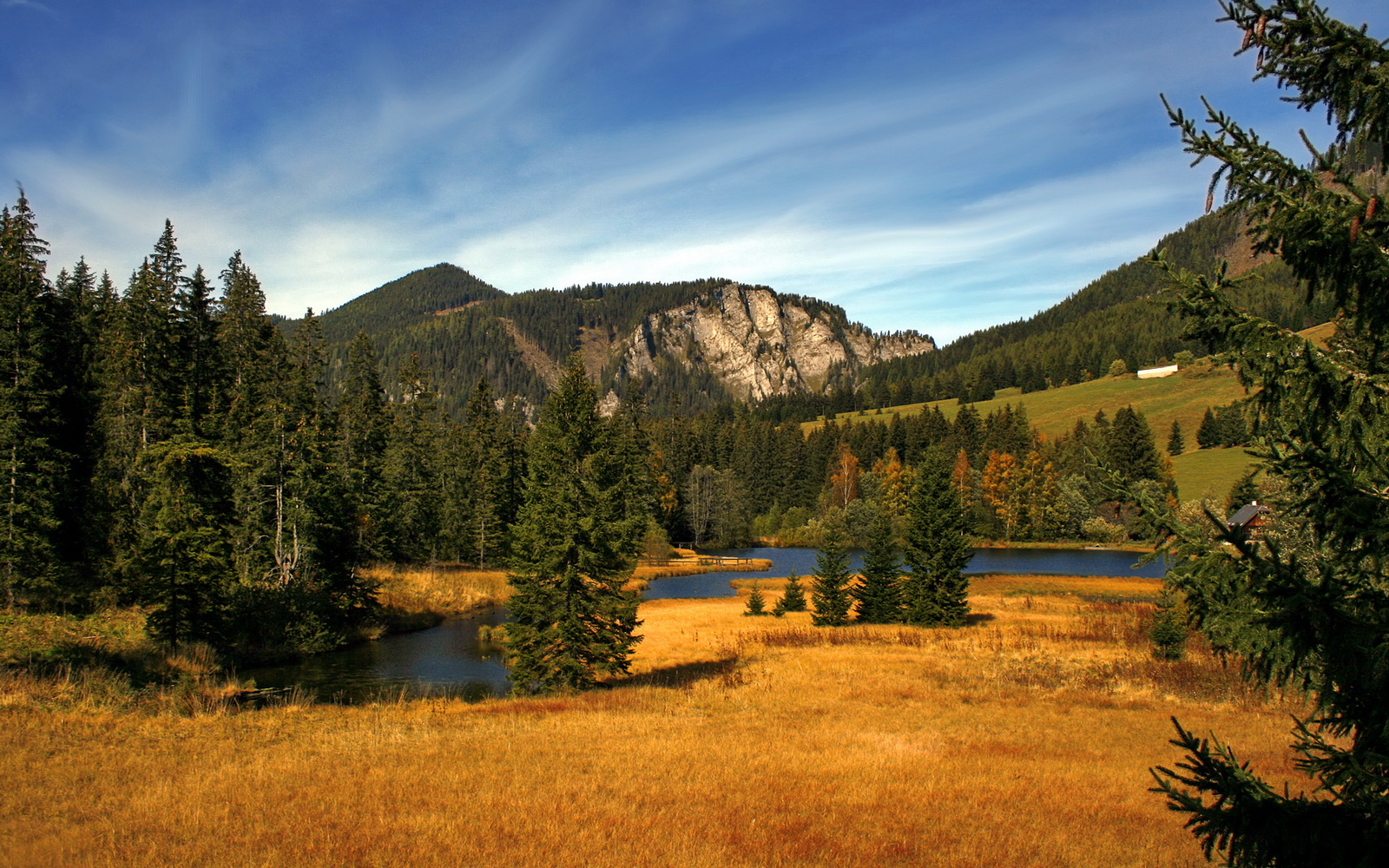 自由泳接力赛比利时逆转夺胜,自由泳接力决赛