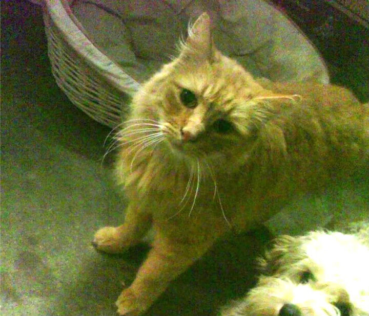 西甲决定命运的关键瞬间:逆转成为经典,西甲最大逆转夺冠